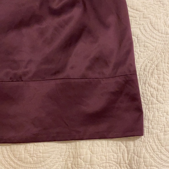 The Limited Dress - Picture 8 of 8